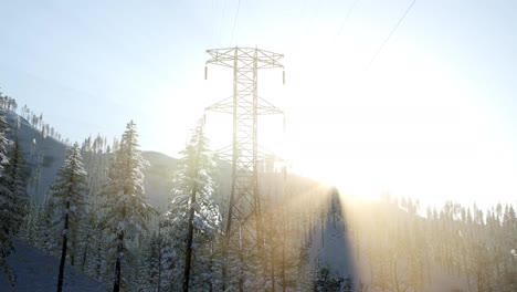 Stromleitung-Bei-Sonnenaufgang-Im-Schneebedeckten-Wald